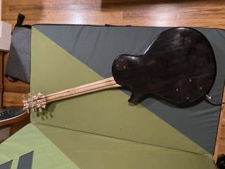Back View