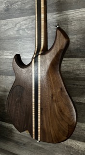 Back View