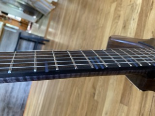 Fretboard Detail