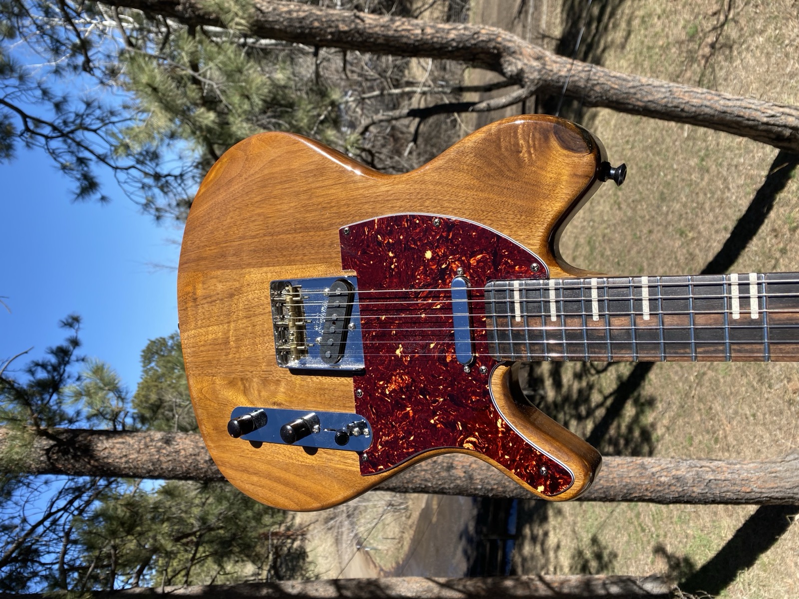 Walnut T-Style