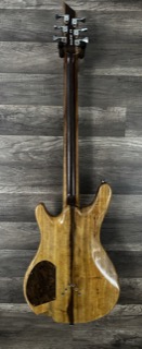 Fretboard detail